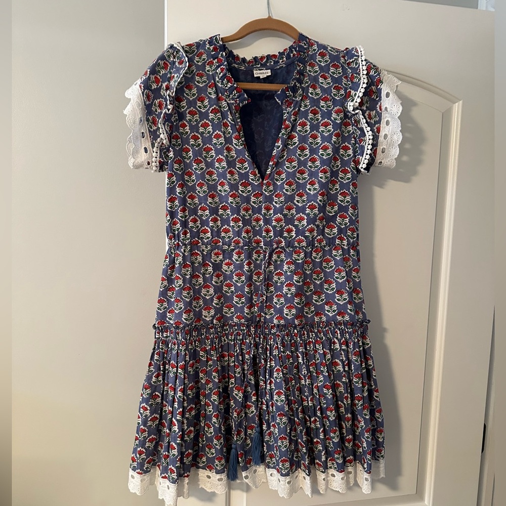 Charlee Day Dress - Worn Once!